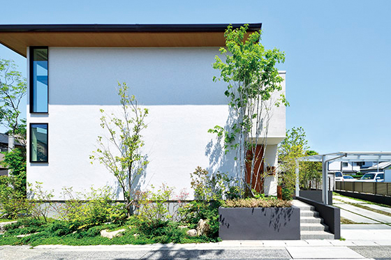 窓の工夫で手に入れた 明るい光と心地よい風