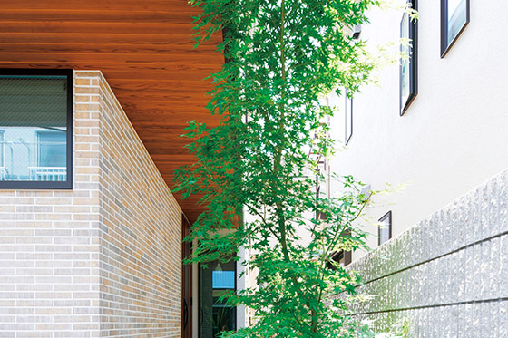 勾配天井の高さを活かし 隣家が迫る土地でも明るく