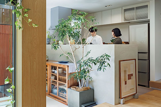 やわらかな光を楽しむ、中庭と土間のある住まい
