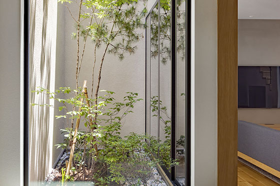 3つの中庭がある、和モダンの家