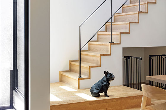 3つの中庭がある、和モダンの家