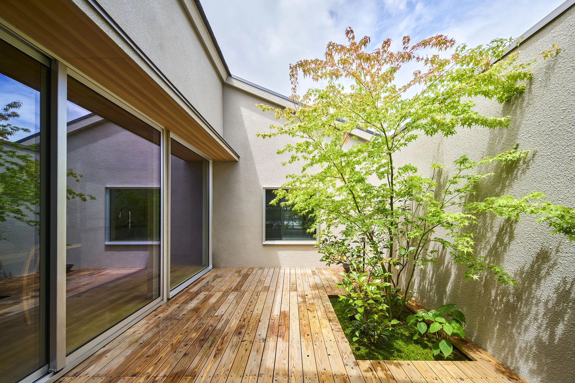 明るい光が緑に降り注ぐ中庭