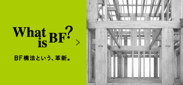 What is BF？