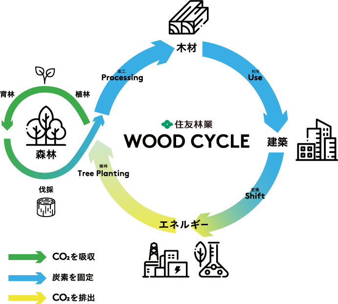 木を使うだけでなく、伐って、植えて、WOOD CYCLEを促進。
