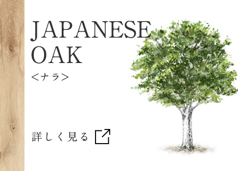JAPANESE OAK