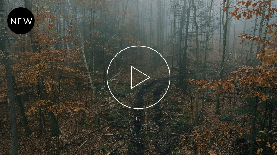 Traveling for our trees