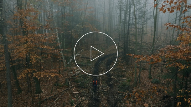 Traveling for our trees