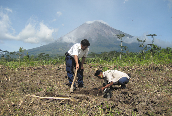環境に配慮した森から生まれる銘木。