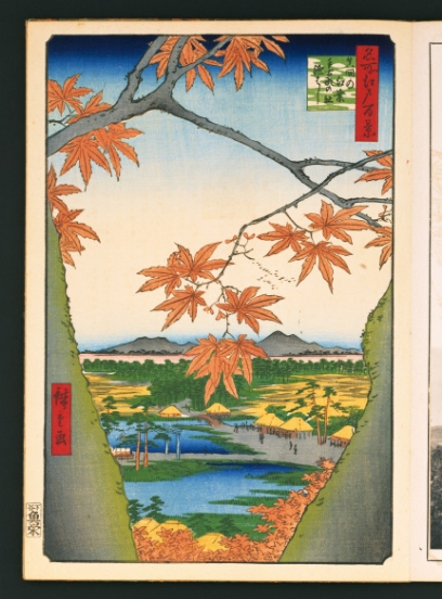 桜によって生まれる浮世絵。