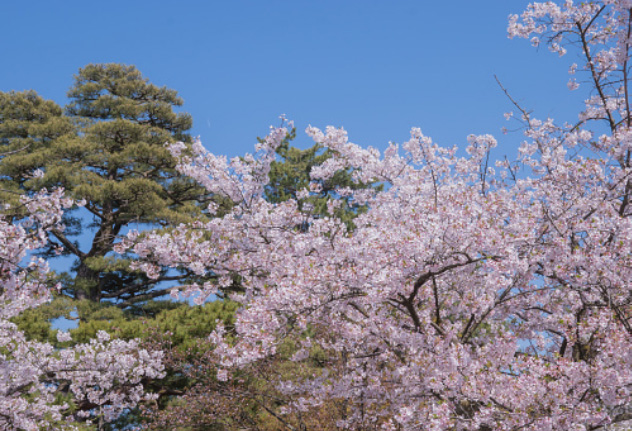 日本各地に広がる多彩な個性。