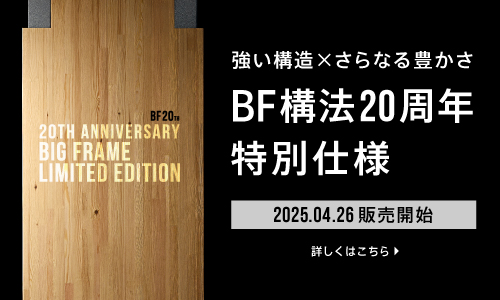 BigFrame20th