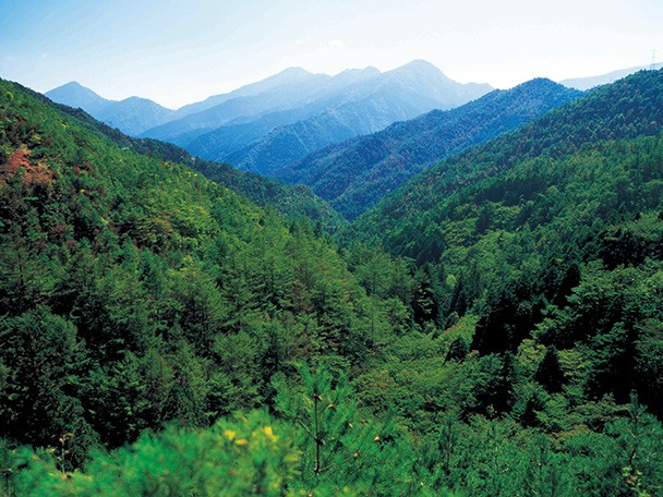 森林が植林により再生し、緑豊かな山々が連なっています。
