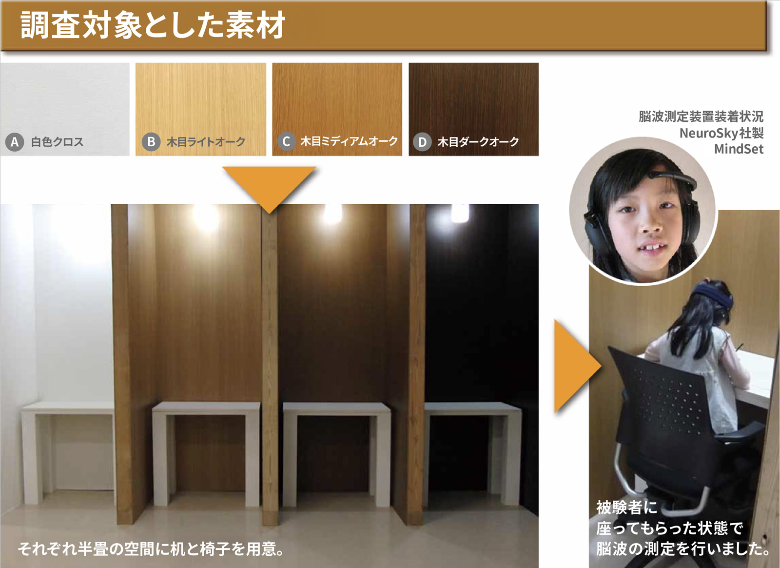 調査対象とした素材