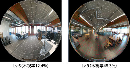 写真1 木視率の例