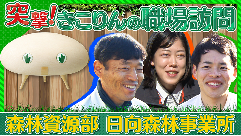 森林資源部 日向森林事業所