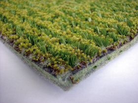 「スナ苔」を利用した苔パネル(施工後6ヶ月 湿潤時)