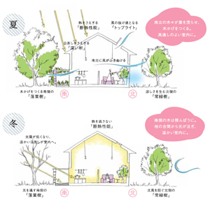 四季を感じ、冷暖房設備に頼りきらない、「涼温房」の暮らし方