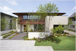 ニュースリリース 住友林業