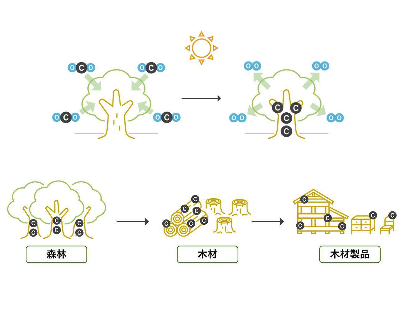 木材製品や木造建築が増えると街はどうなる？