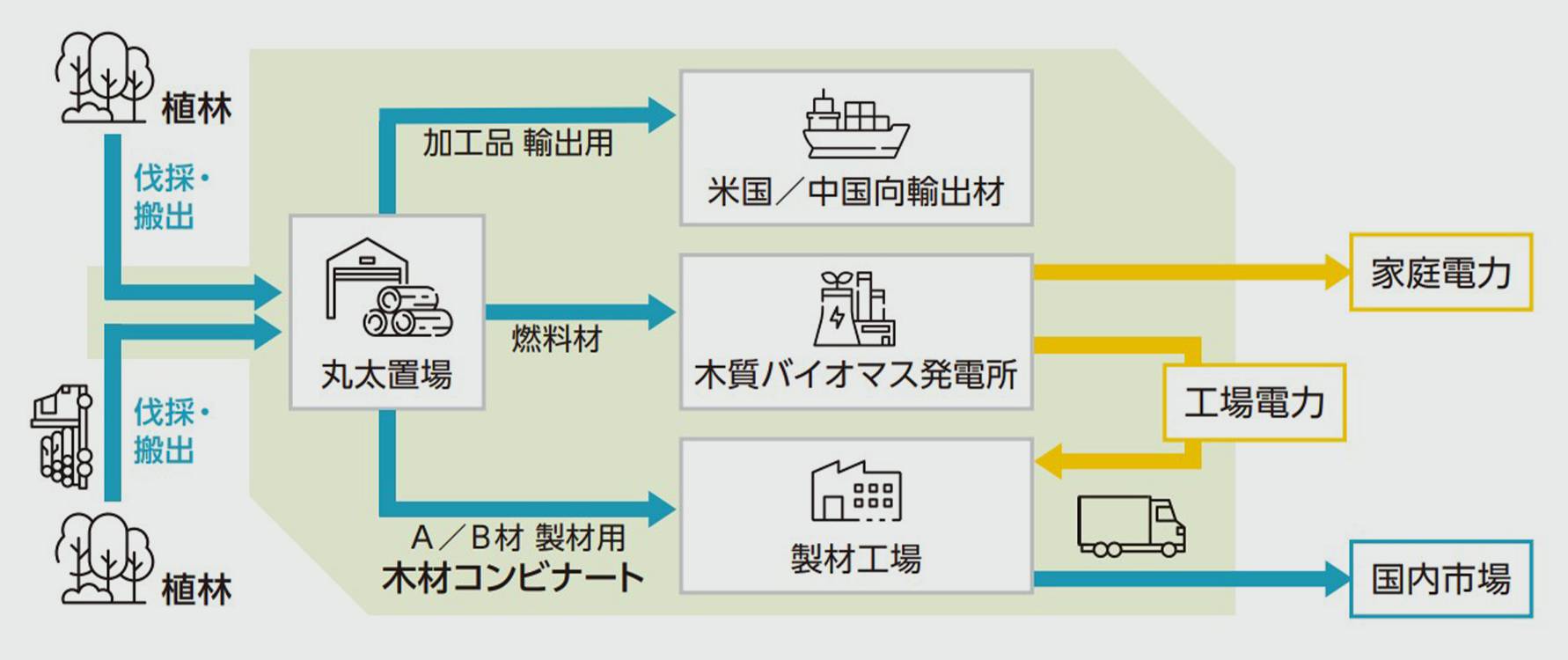 国産材の安定した供給体制をつくり国産材の活用拡大を図る