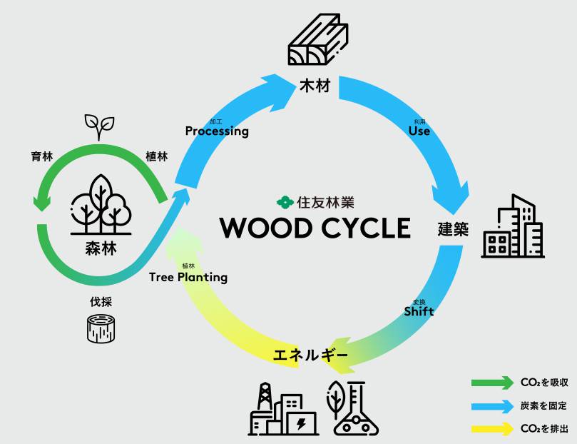 住友林業が取り組む 「WOOD CYCLE」