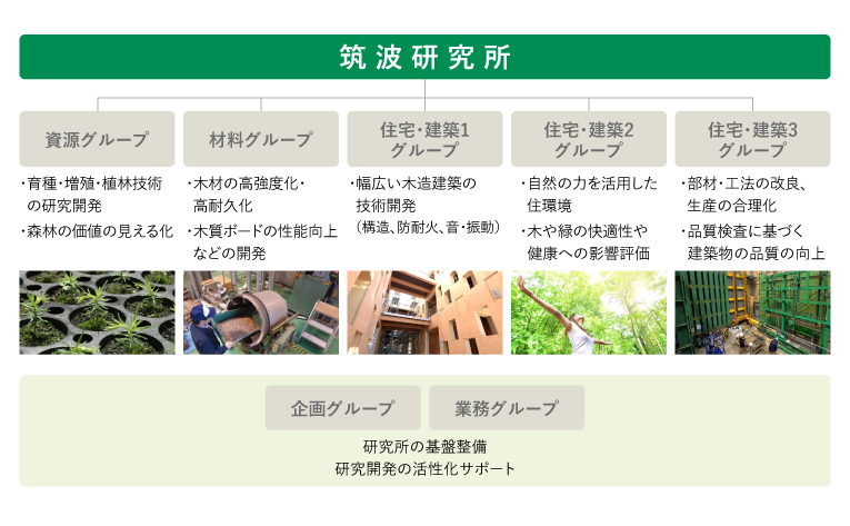 筑波研究所の研究開発体制及び分野