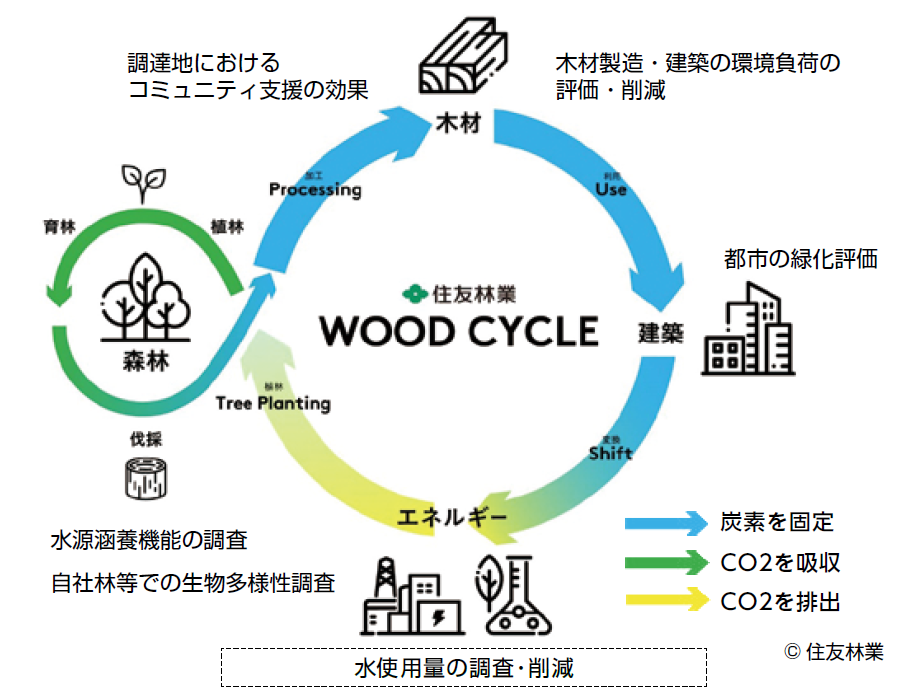WOOD CYCLE