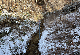河川水源涵養調査（紋別社有林における水量・水質モニタリング）