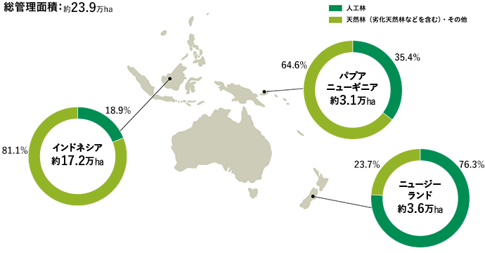 海外森林事業地の分布・面積（2023年12月末）