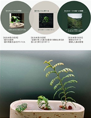 植樹活動の様子