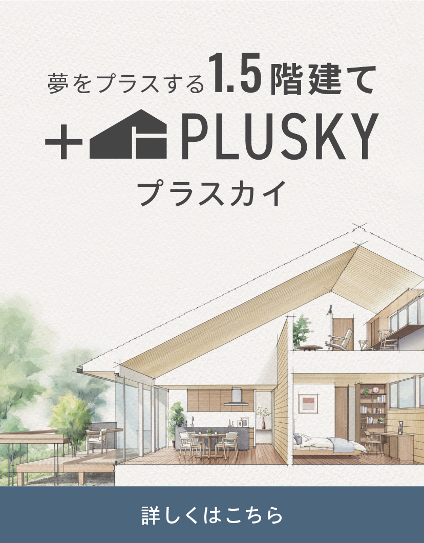 PLUSKY