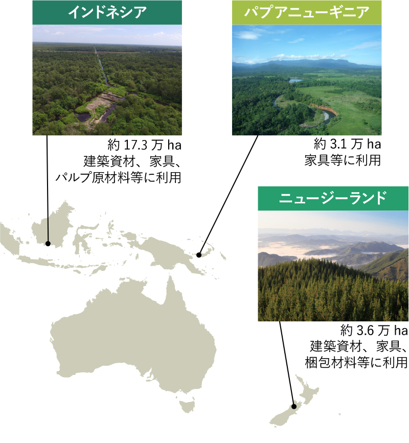 海外の森林管理・保有等の面積は、約23.1万haインドネシアの森林管理面積は、約16000ha。建築資材、家具、パルプ原材料等に利用されています。パプアニューギニアの森林管理面積は、約31000ha。家具等に利用されています。ニュージーランドの森林管理面積は、約36000ha。建築資材、家具、梱包材等に利用されています。