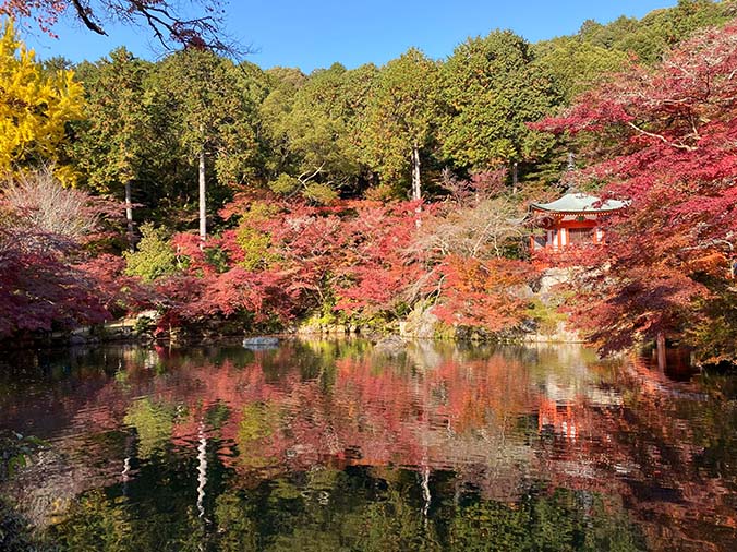 総本山醍醐寺林泉の写真