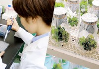 /information/company/rd/tukuba/